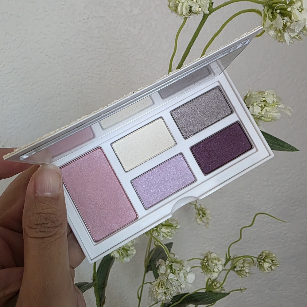 Not AVAILABLE 2/$25 Clinique Limited Edition Eye And Cheek Palette